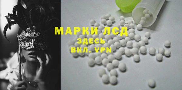 дживик Надым