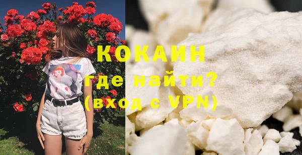 дживик Надым